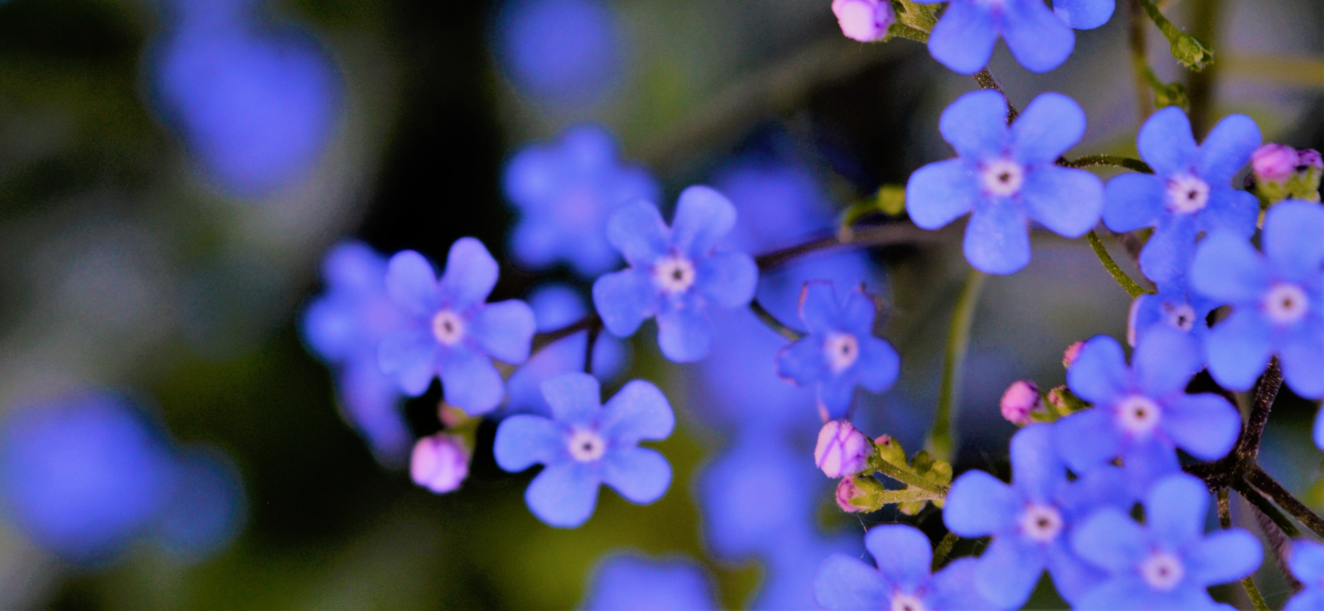 Moc pasji – inspirować, tworzyć i przekraczać własne granice