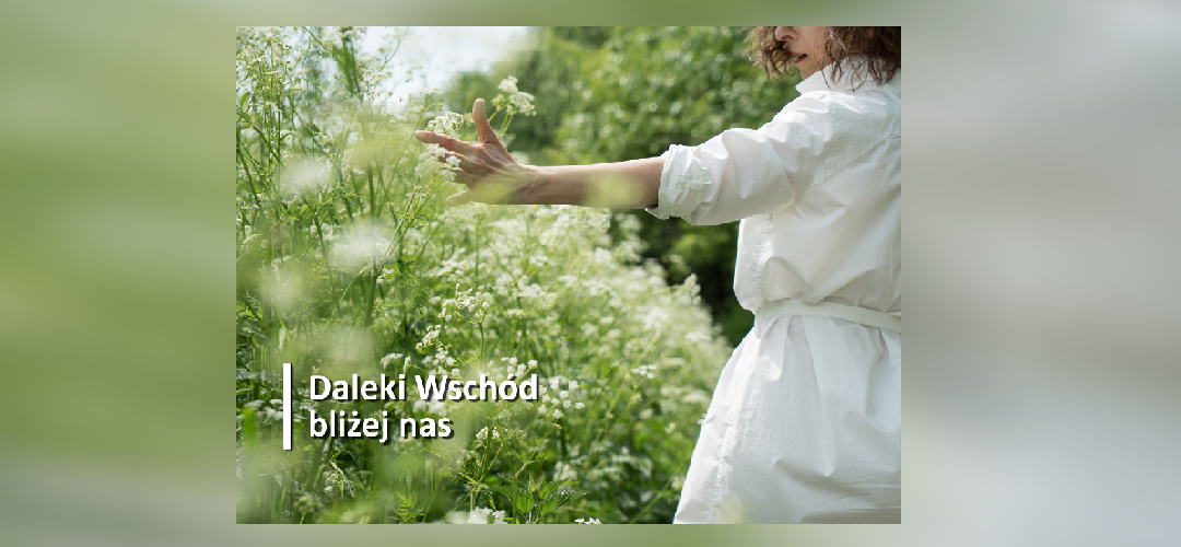 Sztuka Spełnionego Życia Według Japońskiego Ikigai